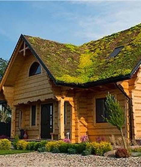 Zielone dachy, a korzyści przyrodniczo-społeczne