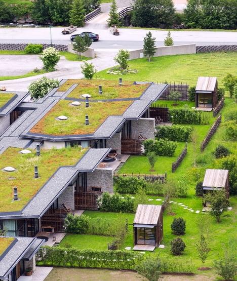Jak zielone dachy wpływają na mikroklimat?