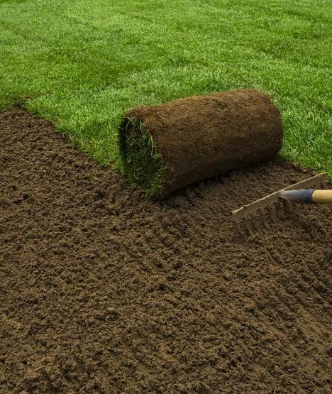 Czym jest wertykulacja trawnika i jak ją prawidłowo przeprowadzić?