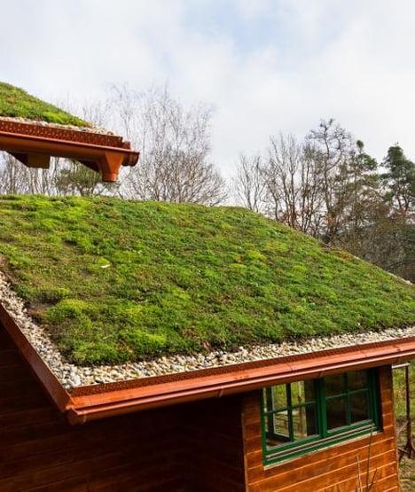 Do jakiej elewacji pasuje zielony dach?