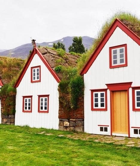 Warstwy roślinne zielonych dachów