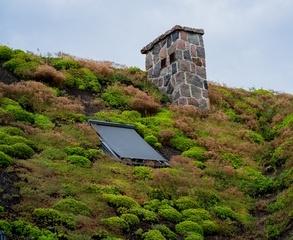 wody opadowe zielone dachy
