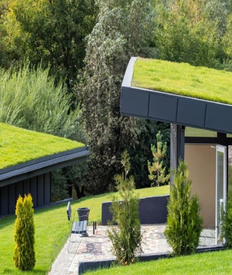 Czy zielone dachy stanowią naturalną izolację akustyczną?